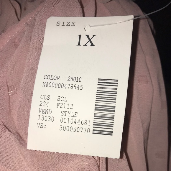 Catherines Accordion Semi-Sheer Pleated Top - Picture 4 of 4